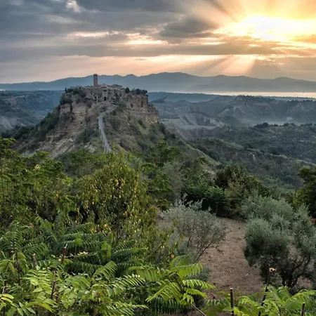 Luce Su Civita *